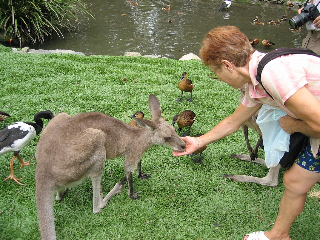 105 Port Douglas Wildlife Habitat.jpg